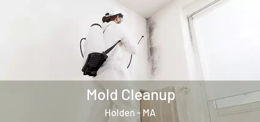  Mold Cleanup Holden - MA