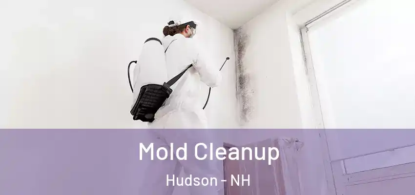 Mold Cleanup Hudson - NH