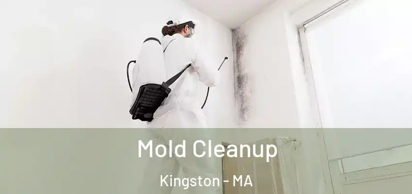 Mold Cleanup Kingston - MA