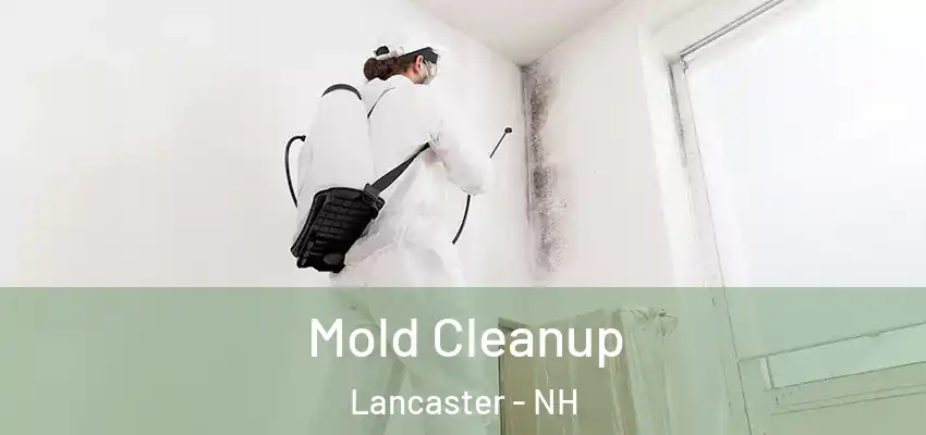 Mold Cleanup Lancaster - NH