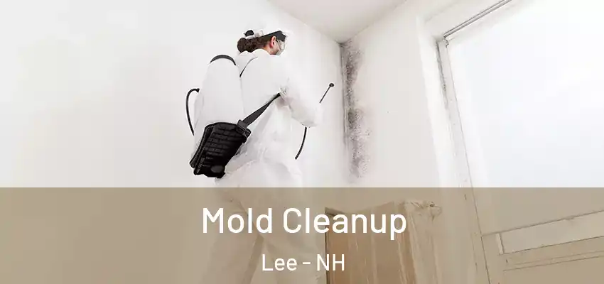 Mold Cleanup Lee - NH