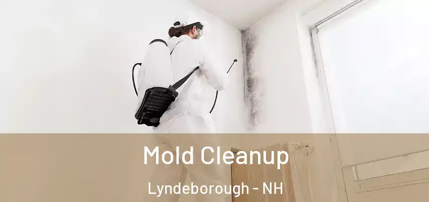 Mold Cleanup Lyndeborough - NH
