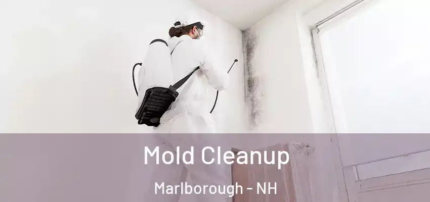  Mold Cleanup Marlborough - NH