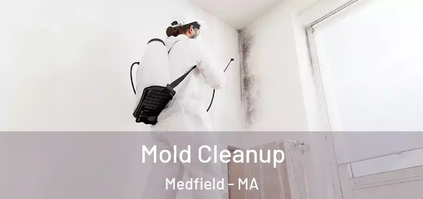  Mold Cleanup Medfield - MA