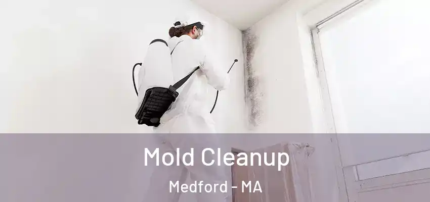 Mold Cleanup Medford - MA