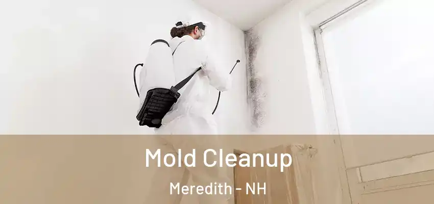 Mold Cleanup Meredith - NH
