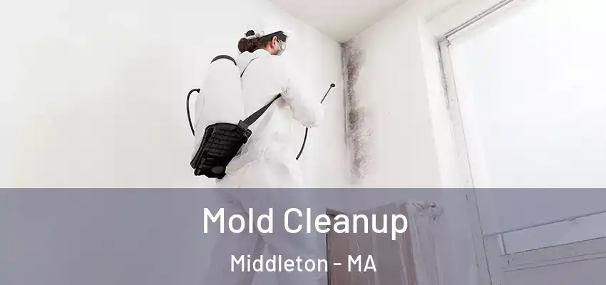 Mold Cleanup Middleton - MA