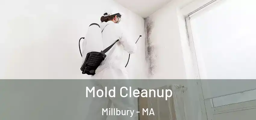  Mold Cleanup Millbury - MA