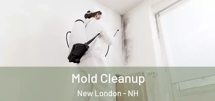  Mold Cleanup New London - NH