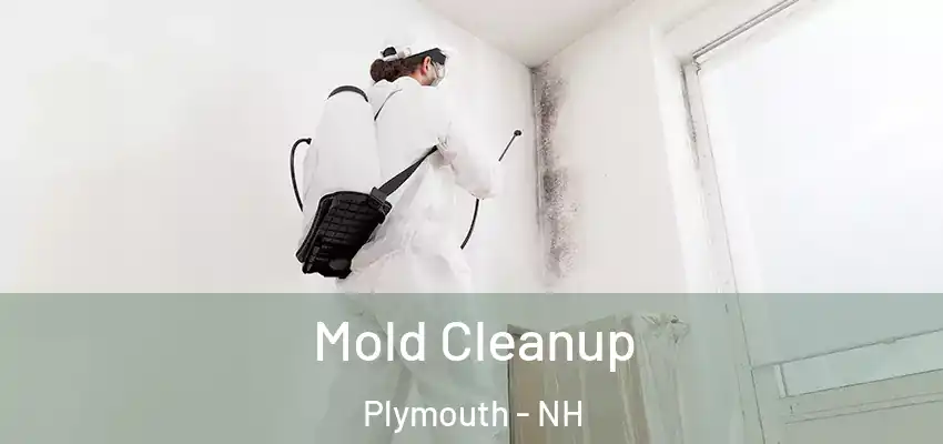  Mold Cleanup Plymouth - NH