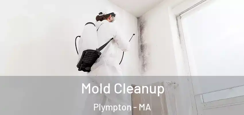 Mold Cleanup Plympton - MA