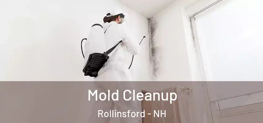 Mold Cleanup Rollinsford - NH
