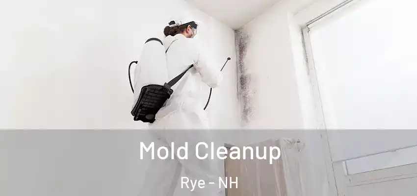 Mold Cleanup Rye - NH