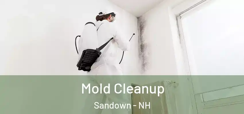 Mold Cleanup Sandown - NH
