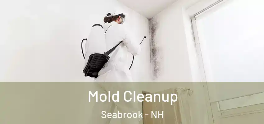  Mold Cleanup Seabrook - NH