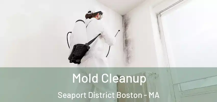  Mold Cleanup Seaport District Boston - MA