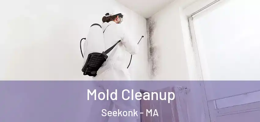  Mold Cleanup Seekonk - MA