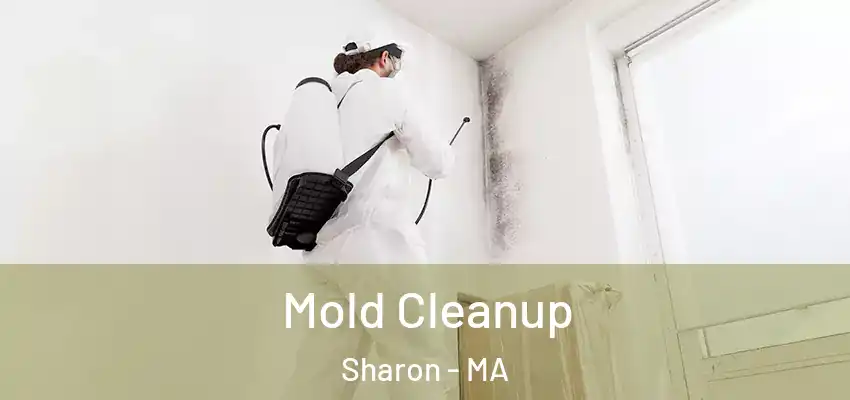 Mold Cleanup Sharon - MA
