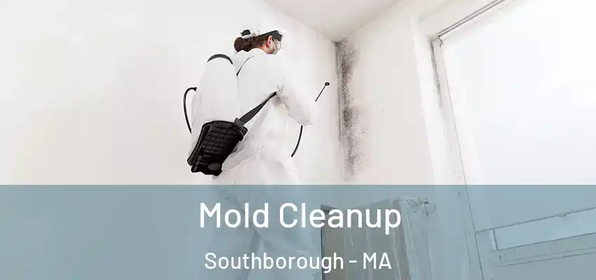 Mold Cleanup Southborough - MA