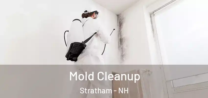 Mold Cleanup Stratham - NH