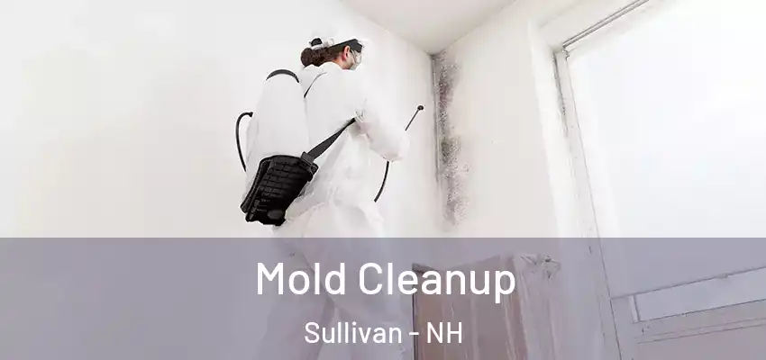 Mold Cleanup Sullivan - NH