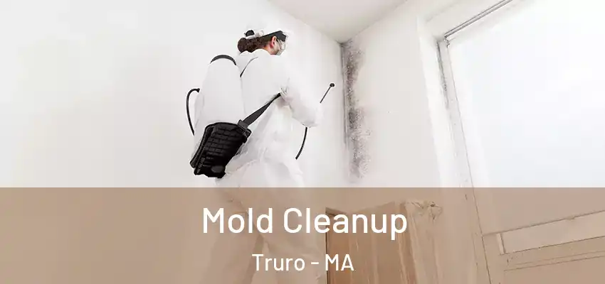Mold Cleanup Truro - MA