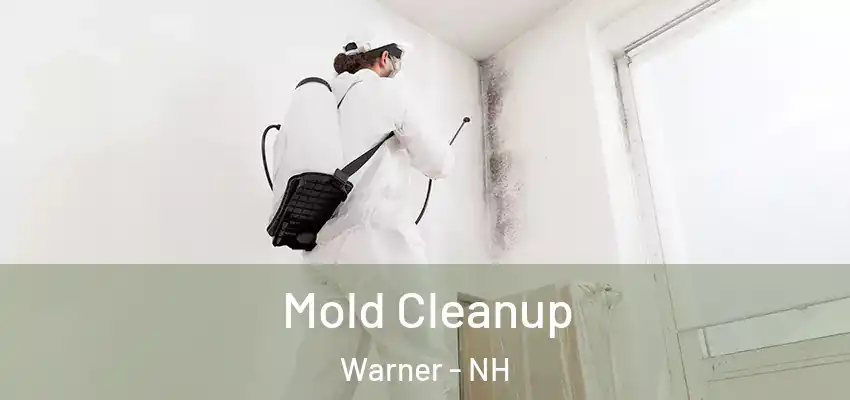 Mold Cleanup Warner - NH