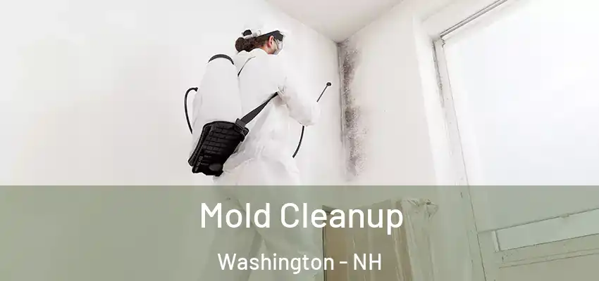 Mold Cleanup Washington - NH