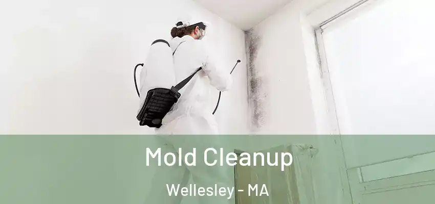  Mold Cleanup Wellesley - MA
