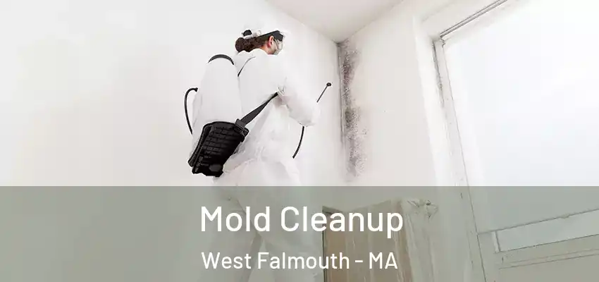  Mold Cleanup West Falmouth - MA