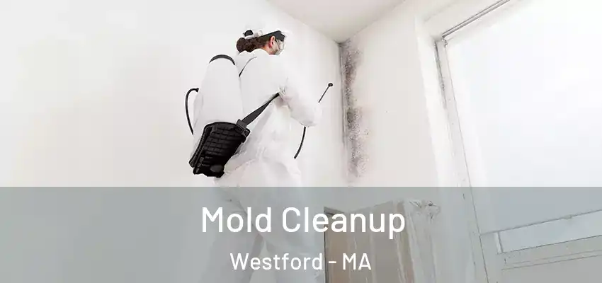 Mold Cleanup Westford - MA