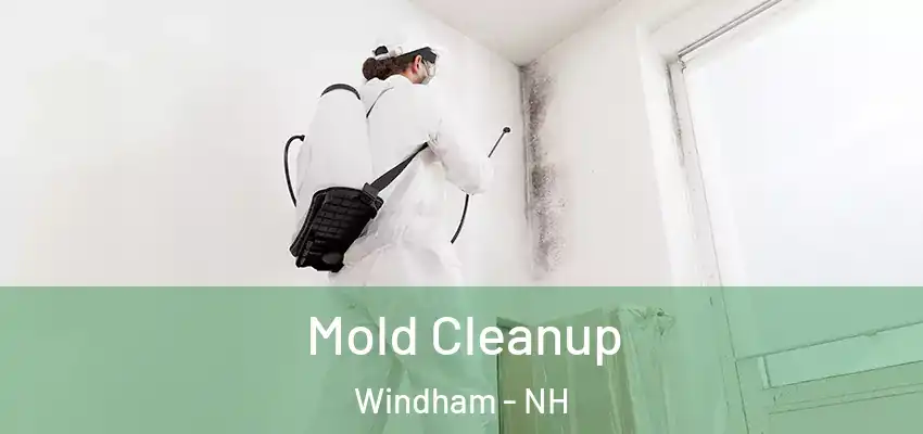 Mold Cleanup Windham - NH