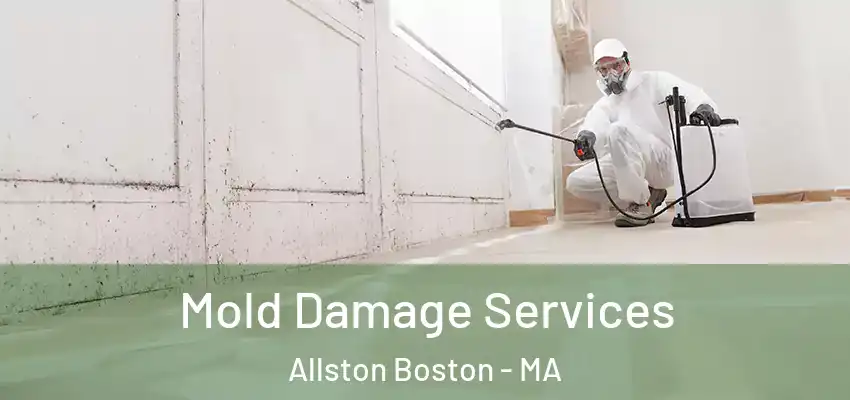  Mold Damage Services Allston Boston - MA