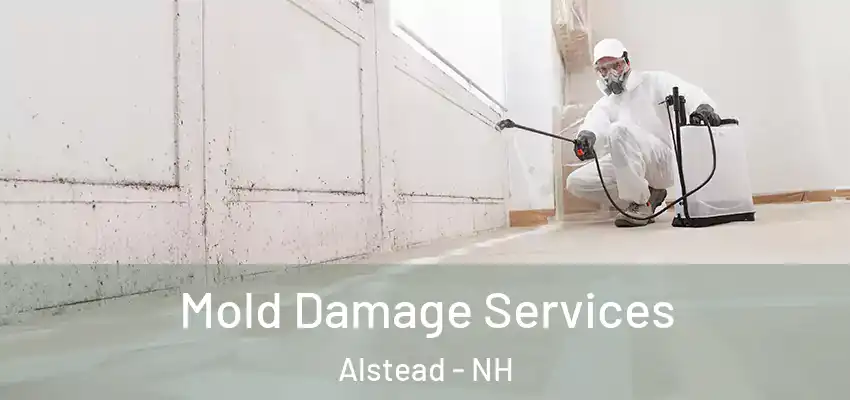Mold Damage Services Alstead - NH