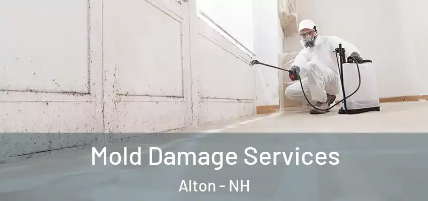 Mold Damage Services Alton - NH