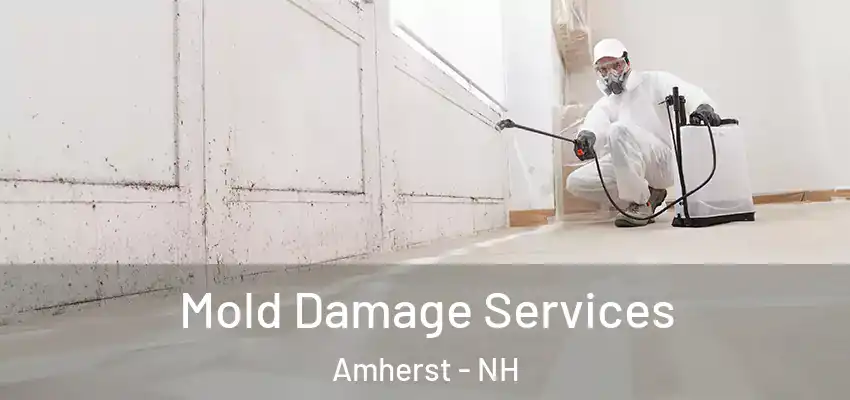 Mold Damage Services Amherst - NH