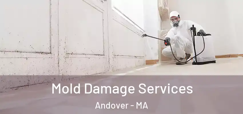 Mold Damage Services Andover - MA