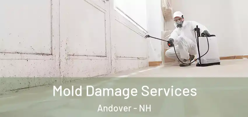 Mold Damage Services Andover - NH