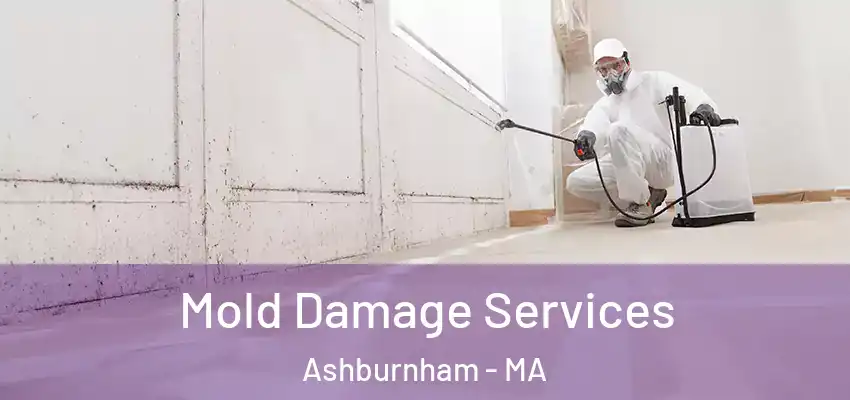 Mold Damage Services Ashburnham - MA