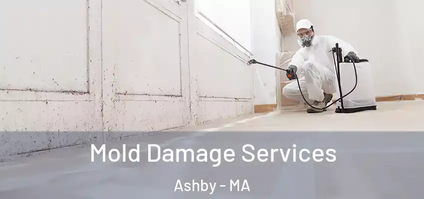 Mold Damage Services Ashby - MA