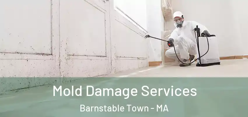 Mold Damage Services Barnstable Town - MA