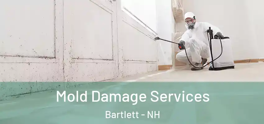  Mold Damage Services Bartlett - NH