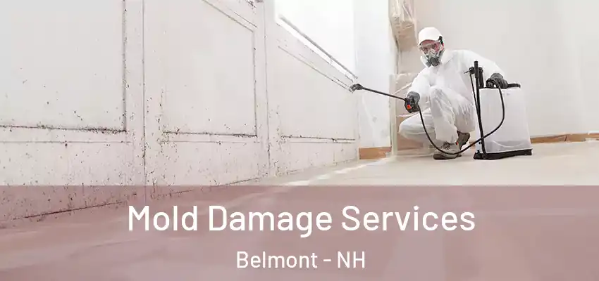 Mold Damage Services Belmont - NH