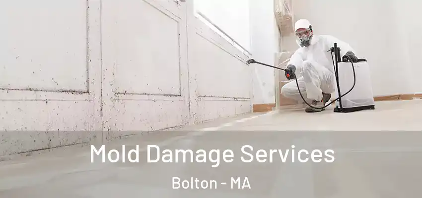 Mold Damage Services Bolton - MA