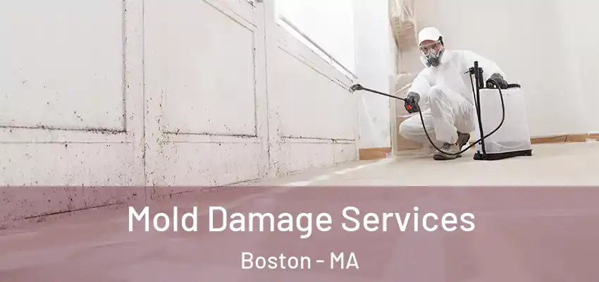 Mold Damage Services Boston - MA