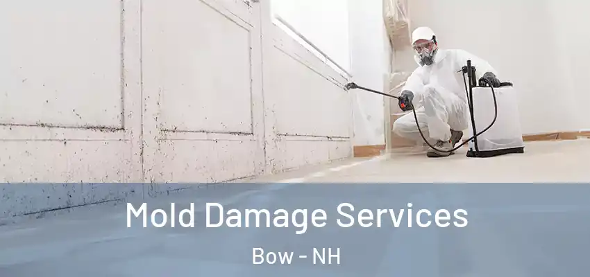 Mold Damage Services Bow - NH
