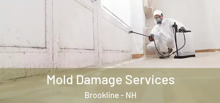 Mold Damage Services Brookline - NH