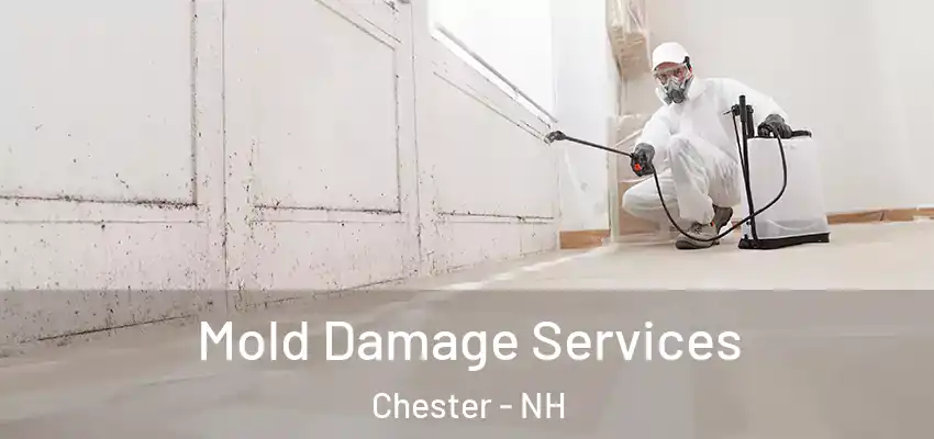 Mold Damage Services Chester - NH