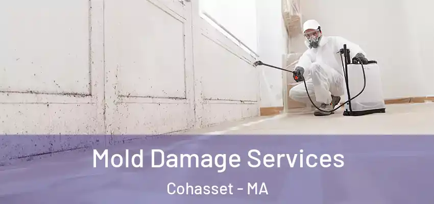  Mold Damage Services Cohasset - MA