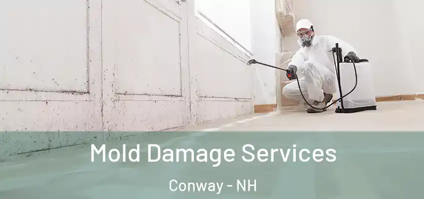 Mold Damage Services Conway - NH